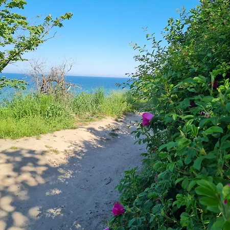 Meereszeit 1 奥斯特巴德里克